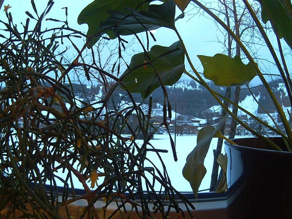 Pension Alpenblick Schattwald Exterior photo
